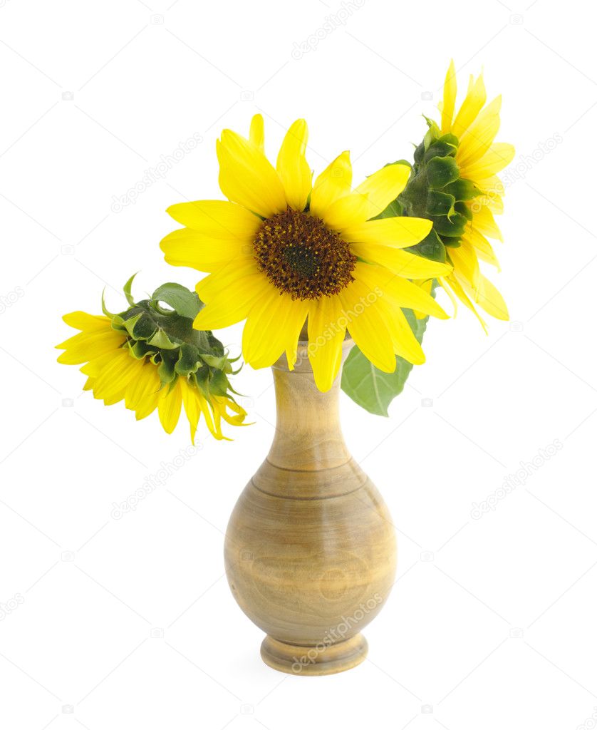 Sunflowers In Vase On White — Stock Photo © Hgalina #2500848