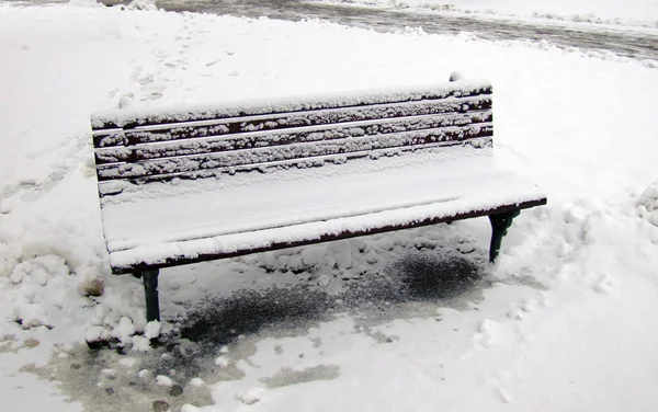 Icy bench in winter park