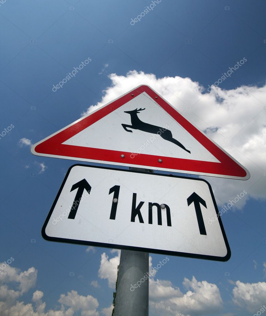 Deer Warning Sign