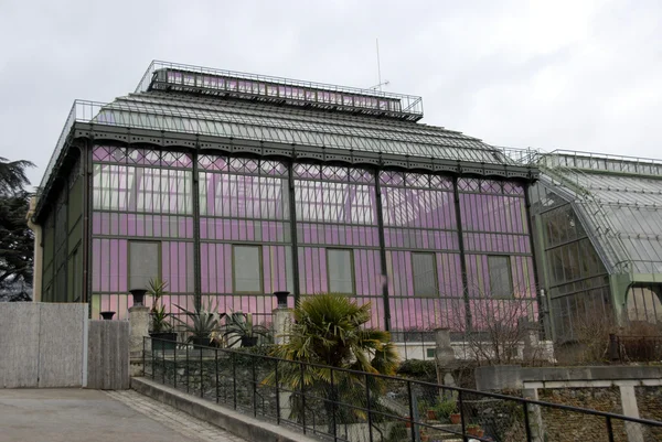 Greenhouse of museum in Paris — Stock Photo #2323085