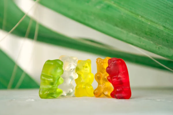 Colorful gummy bears having fun