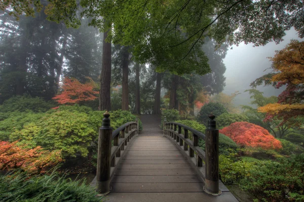 The Bridge in Japanese Garden