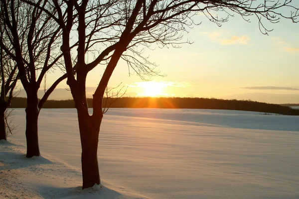 Scenic winter sunset