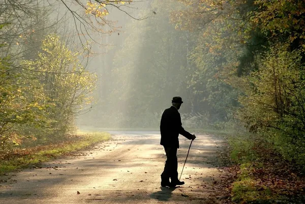 Older man through the country road