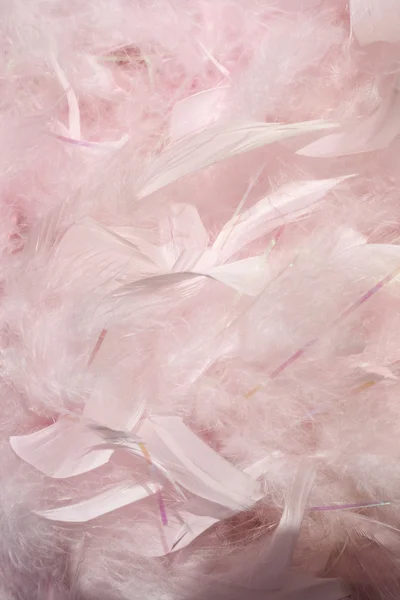 Fluffy pink feathers