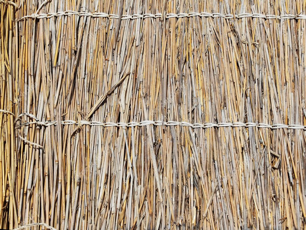 Straw texture wallpaper. — Stock Photo © Ivantagan #1897341