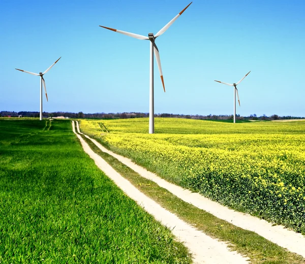 Wind turbines, summer landscape