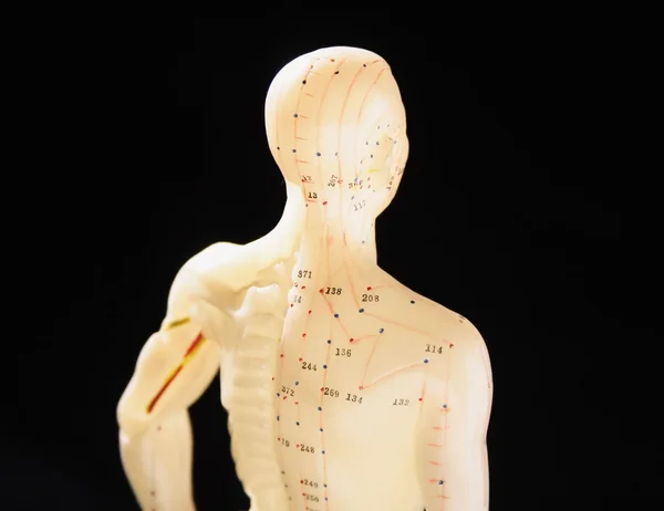 Acupuncture figure back view