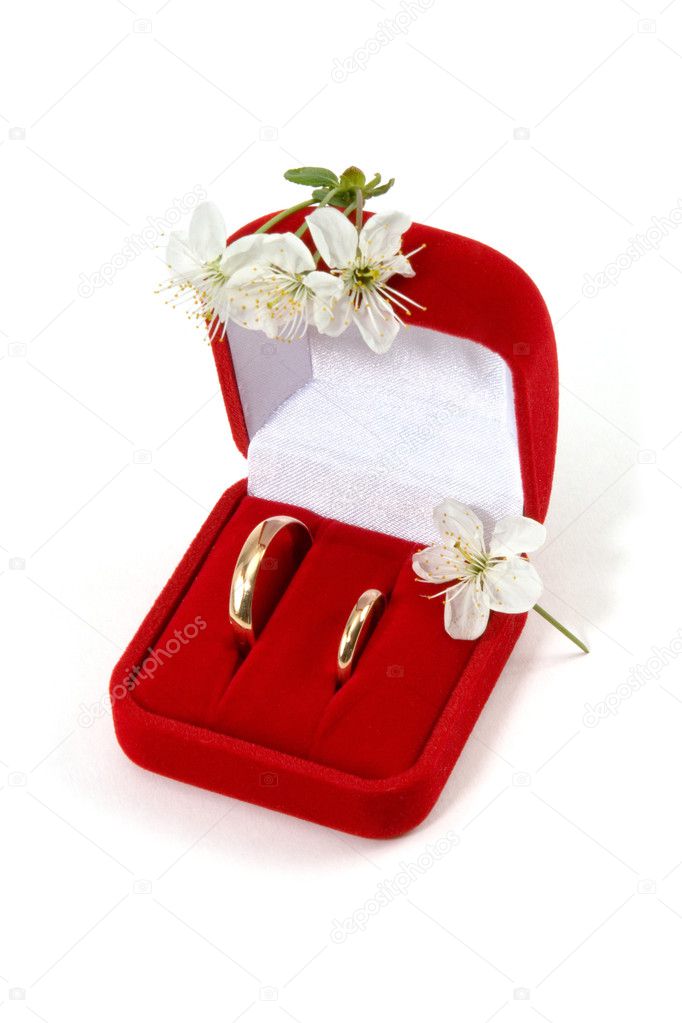 Wedding rings in a red box with a spring blossoming flowers on a white 