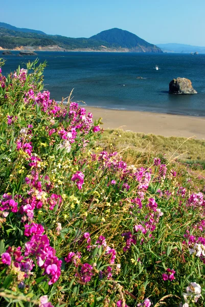 Flowers on the Coast