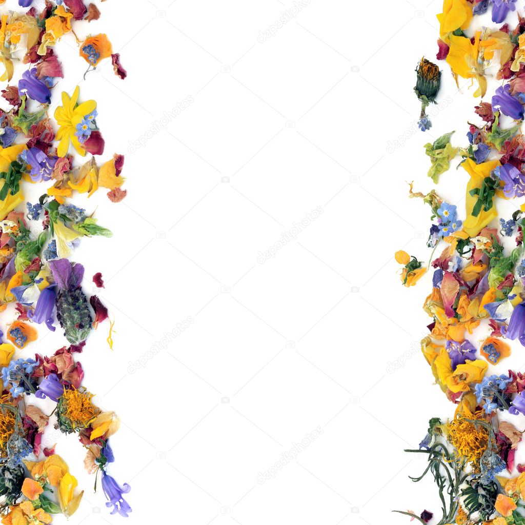 flower border designs