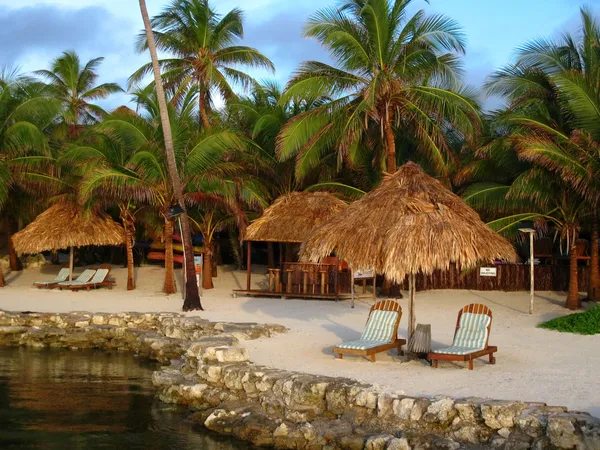 Tropical Resort in Morning Light