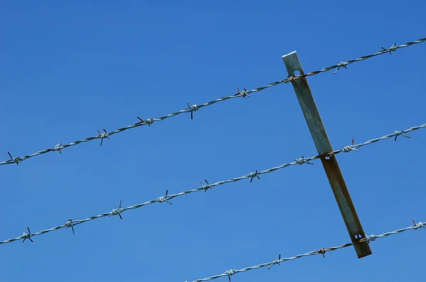barbed wire — Stock Photo #2103561