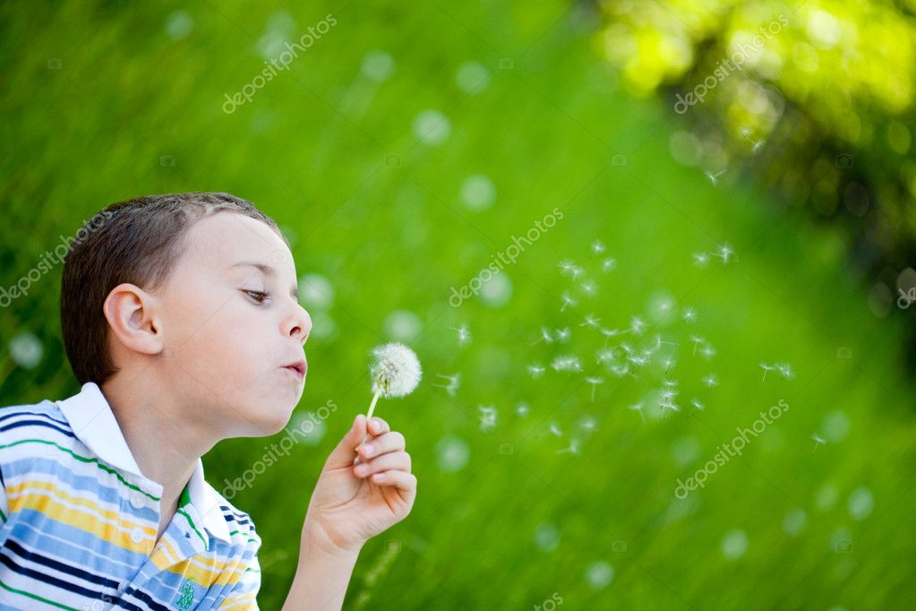 Person Blowing Dandelion