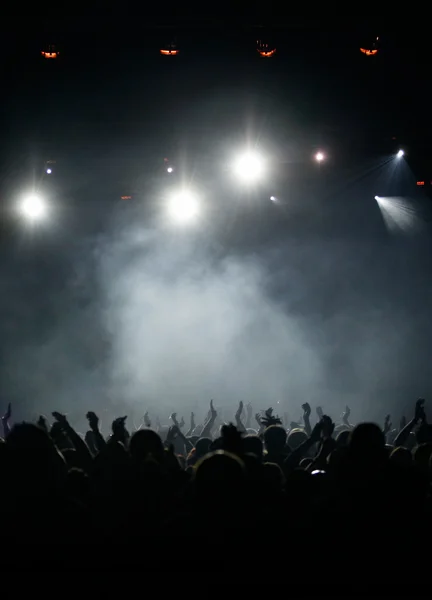 cheering crowd silhouette. light and cheering crowd