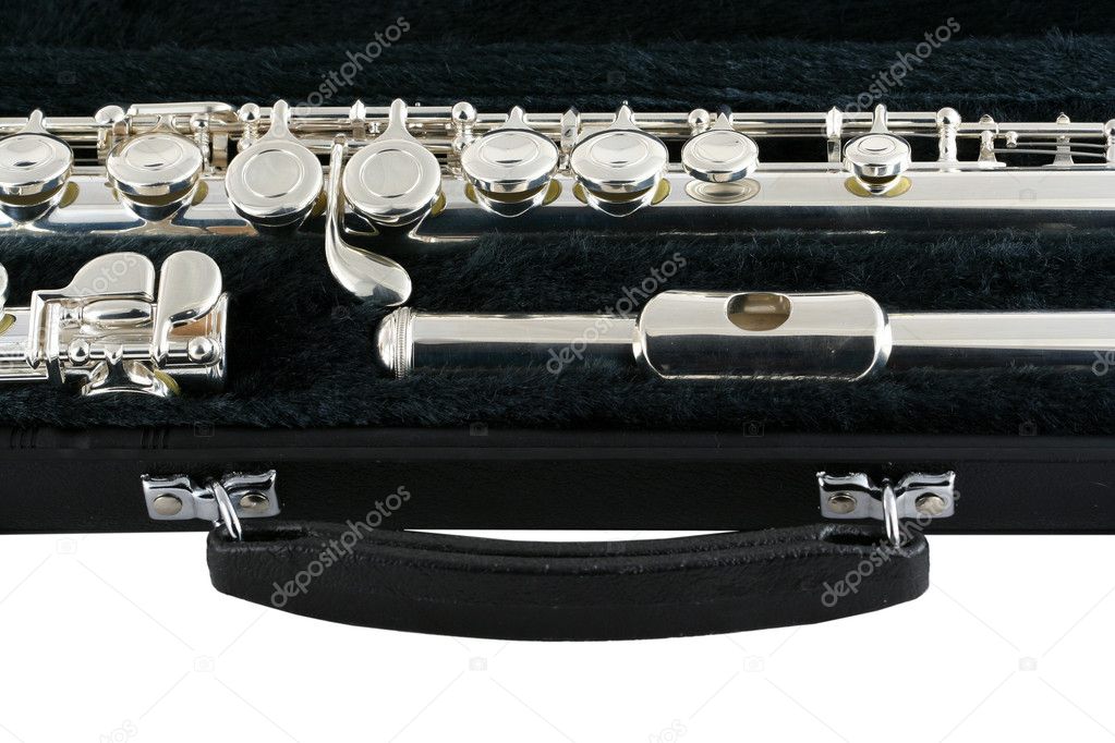 Flute in a case with handle — Stock Photo © njnightsky 2040216