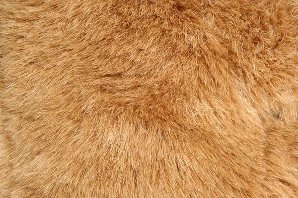 Brown fur background texture — Stock Photo #2060085