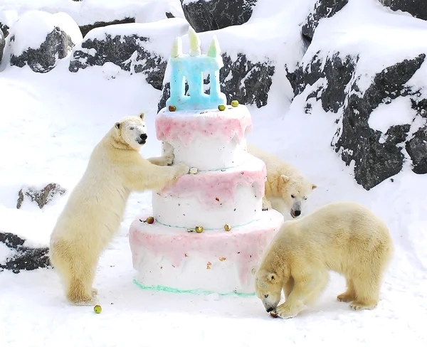 Polar bears funny giant birthday cake
