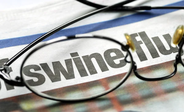 Focus on swine flu