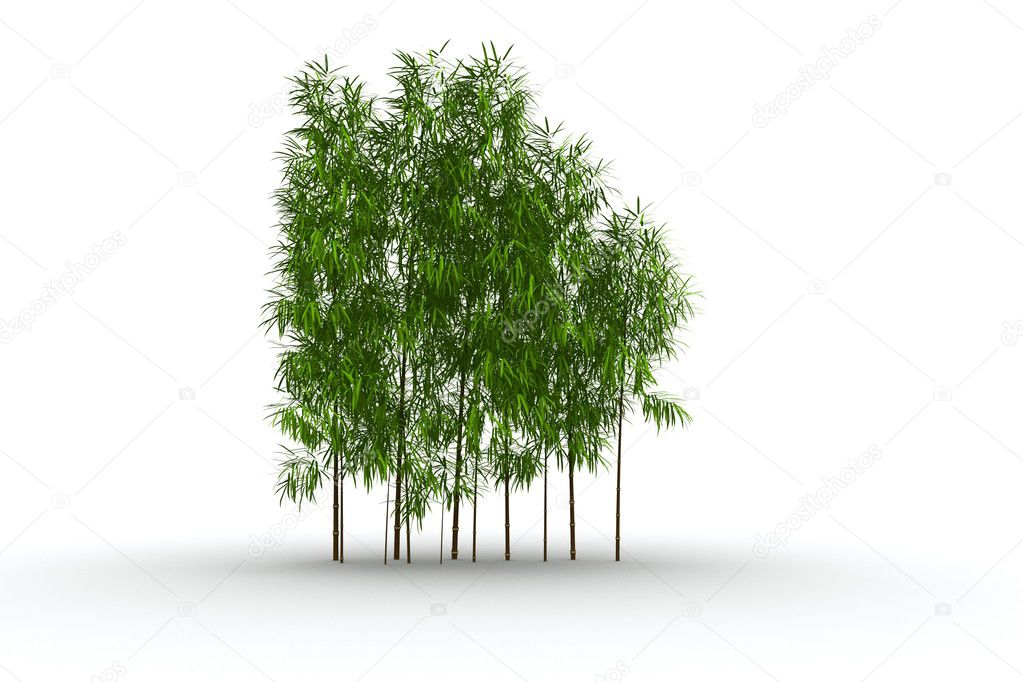 Bamboo 3D Model