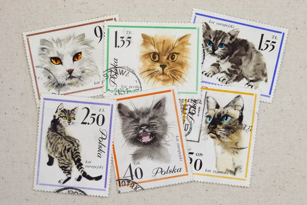 Cats, vintage post stamps from Poland