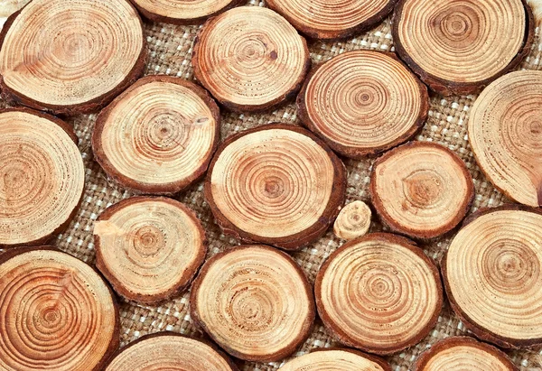 Wood circles with annual rings