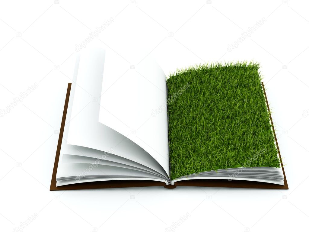 Book On Grass