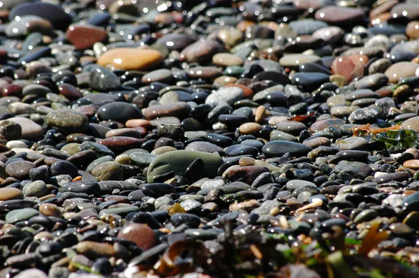 Sparkling beach pebbles