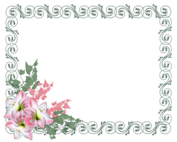 flower border art. Amaryllis pink flower Border