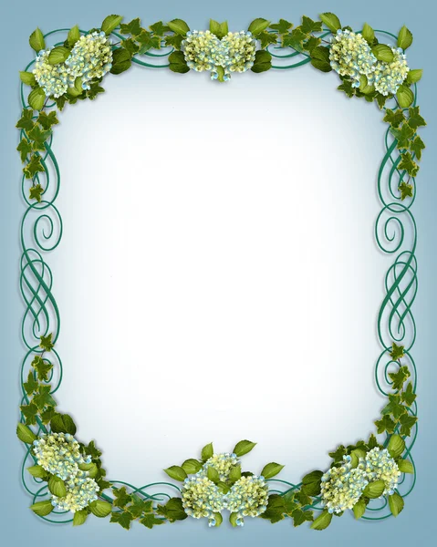 Ivy Hydrangea wedding border by Irisangel Stock Photo Editorial Use Only