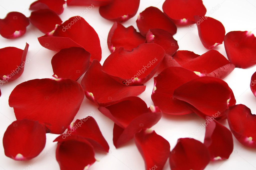 Red Petals