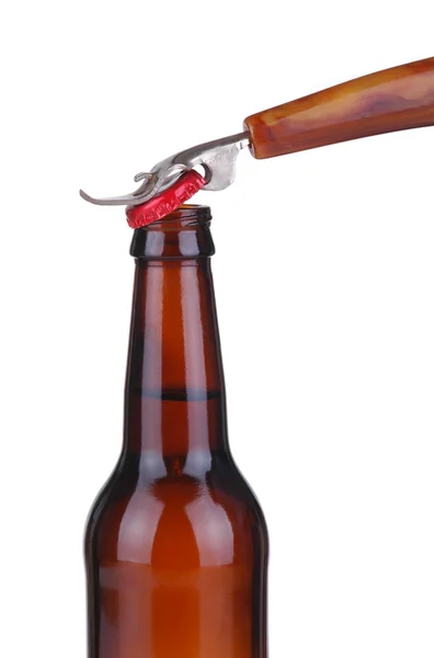 beer bottle vector. Stock Photo: Beer Bottle