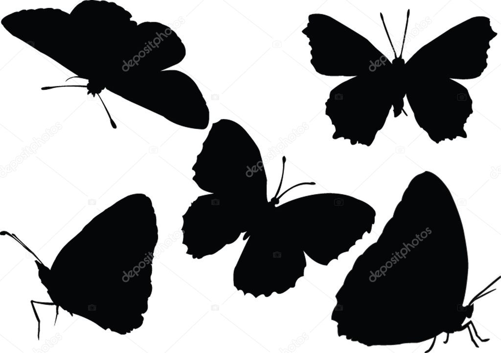 simple butterfly silhouette