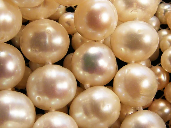 Pearl, coral necklace