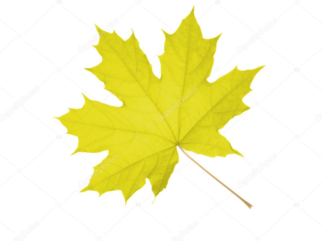Семен канада желтые листья скачать бесплатно mp3
