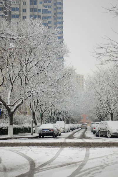 White snow covered the trees in city — Stock Photo #2093876