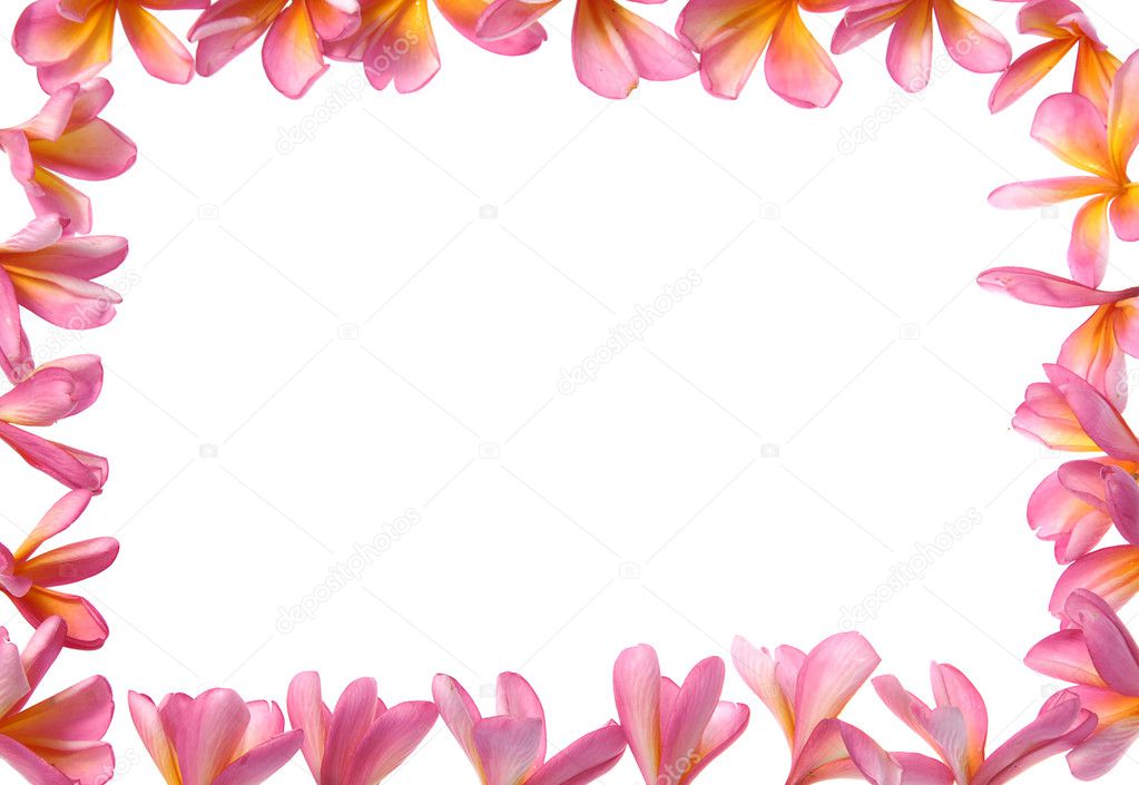 flower frame background