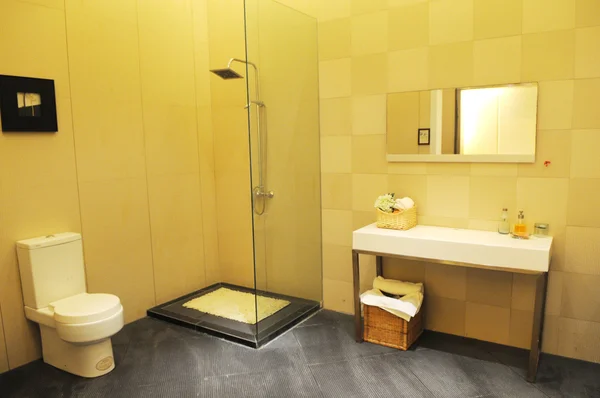 A modern family toilet with shower,ceramic basin stand,and closestool.