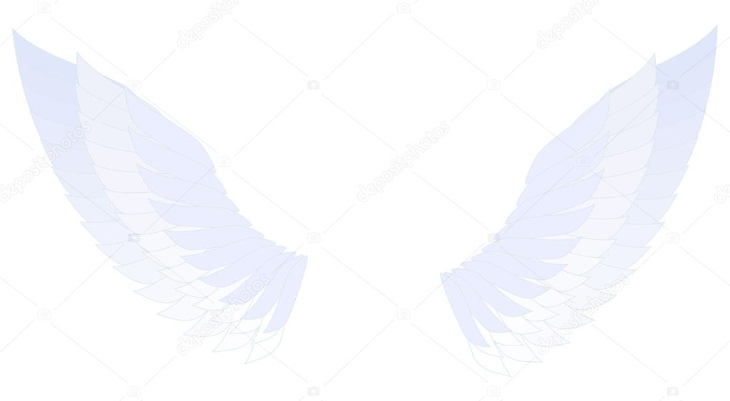 Angel wings isolated on a