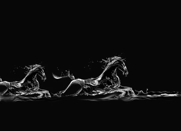 horses running in water. Black Water Horses Running