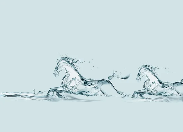 horses running in water. Stock Photo: Two Water Horses