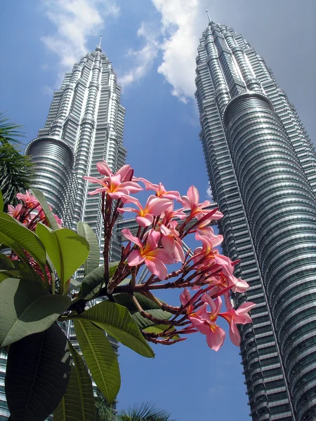 Petronas Twin Towers with flowers in the