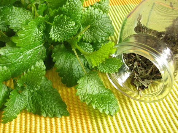 Tea herbs with balm