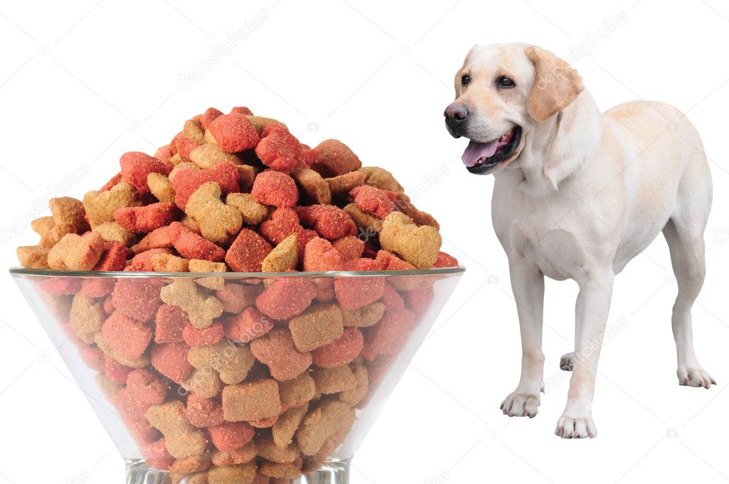 Lab Dog Food