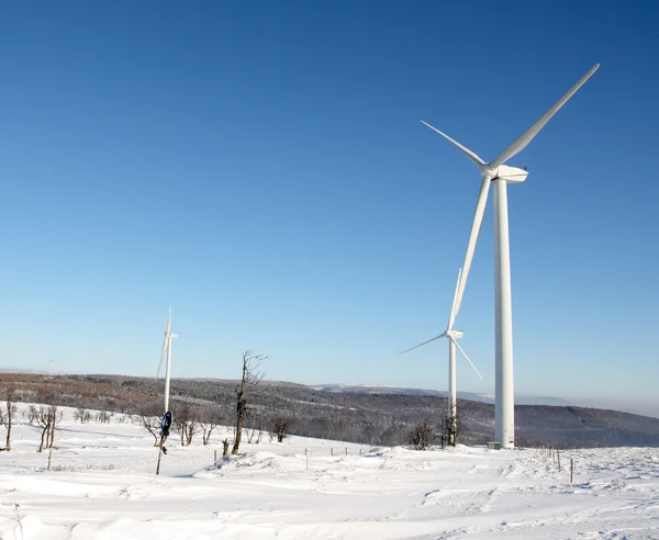 Electricity wind turbine in winter