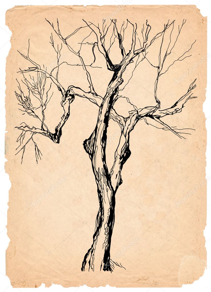 Tree Pencil Drawing