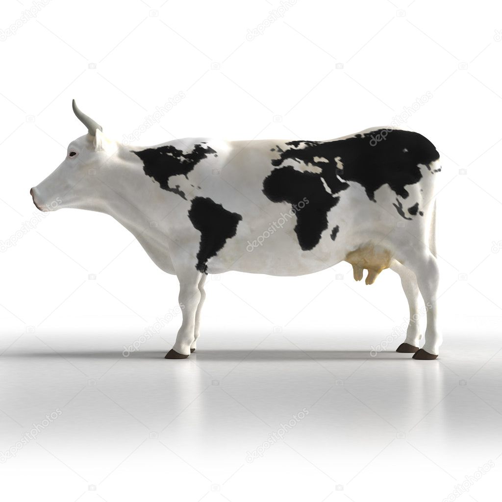 Cow Map