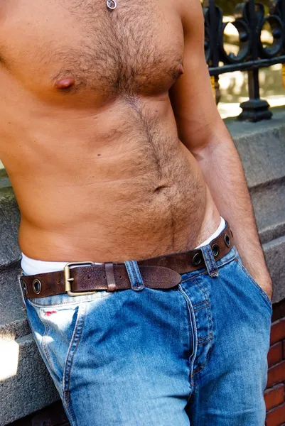 Hairy male torso