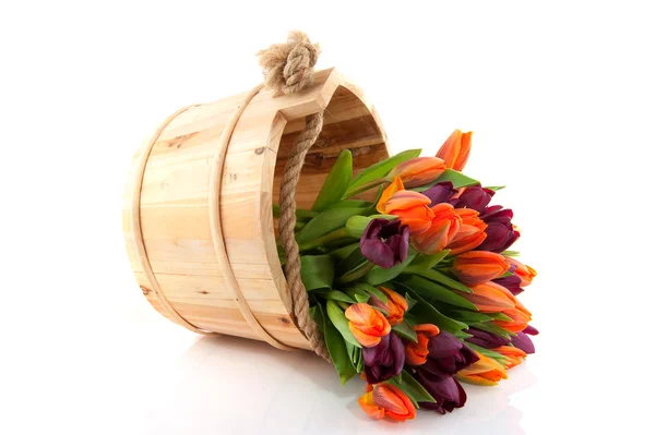 Colorful tulips in wooden bucket