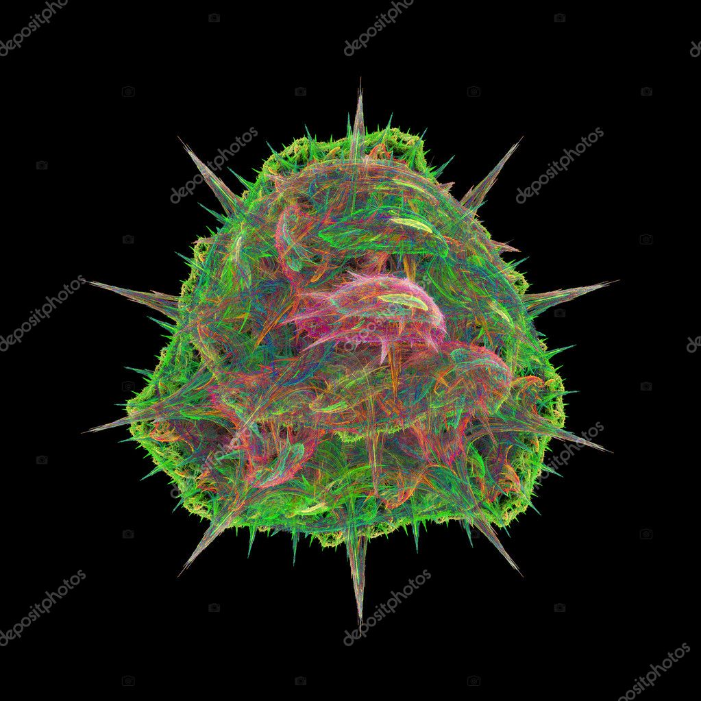 amoeba cell model